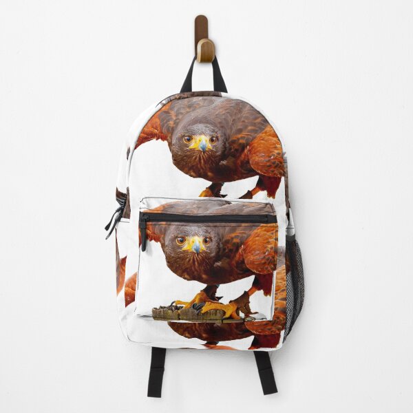 Item preview, Alert Harris Hawk designed and sold by Dalyndigital Photography.