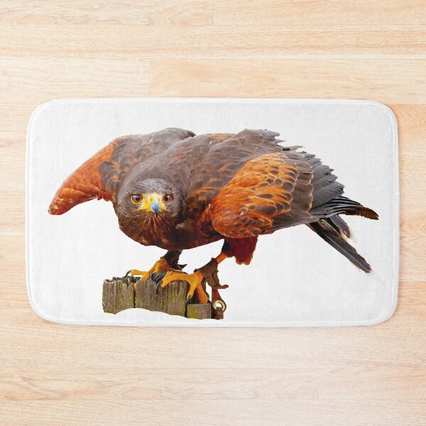 Item preview, Alert Harris Hawk designed and sold by Dalyndigital Photography.