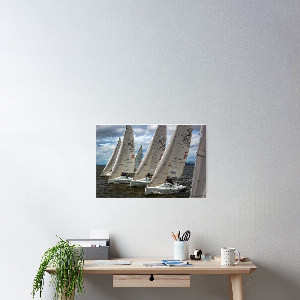 Item preview, Poster designed and sold by Rinkydink.