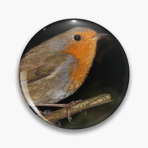 Item preview, Little cute red robin bird designed and sold by HaleyRedshaw.