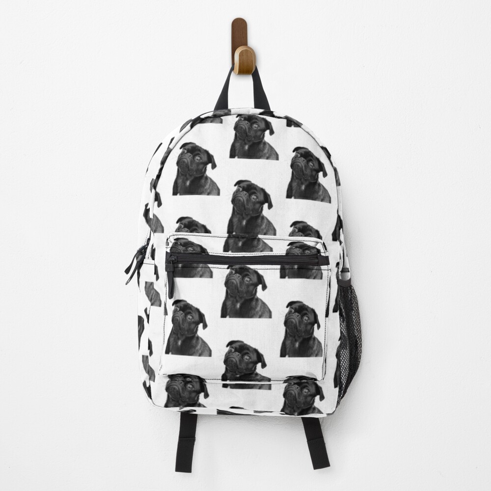 black pug backpack