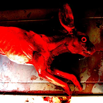 Artwork thumbnail, Run Rabbit Run by James Ryan