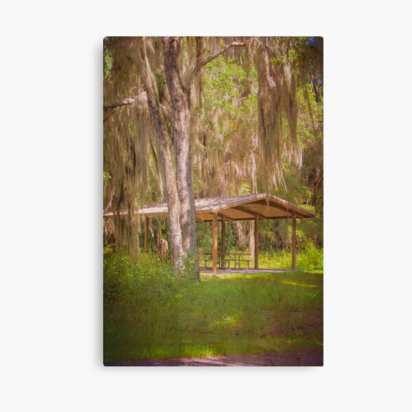 Item preview, Southern Shade designed and sold by designingjudy.