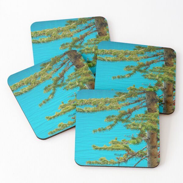 Item preview, Pine branches and turquoisewater designed and sold by Photopat.