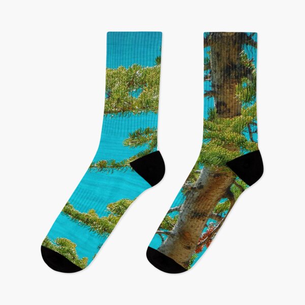 Item preview, Pine branches and turquoisewater designed and sold by Photopat.
