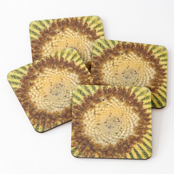 Item preview, Cactus plants on Lanzarote designed and sold by Photopat.