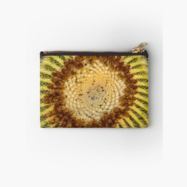 Item preview, Cactus plants on Lanzarote designed and sold by Photopat.