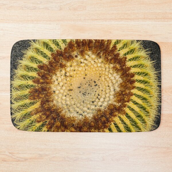 Item preview, Cactus plants on Lanzarote designed and sold by Photopat.