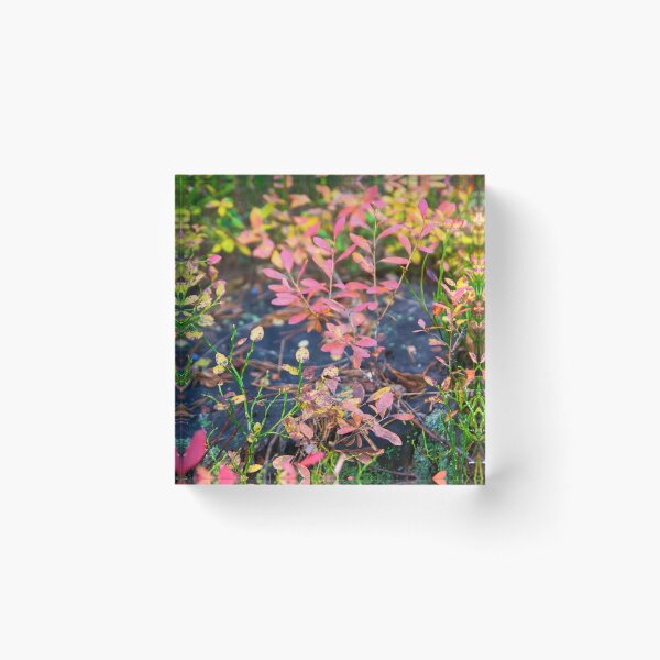 Item preview, Autumn colors| Floflo art designed and sold by Flofloart.