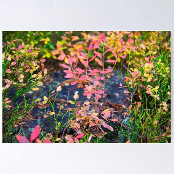Item preview, Autumn colors| Floflo art designed and sold by Flofloart.
