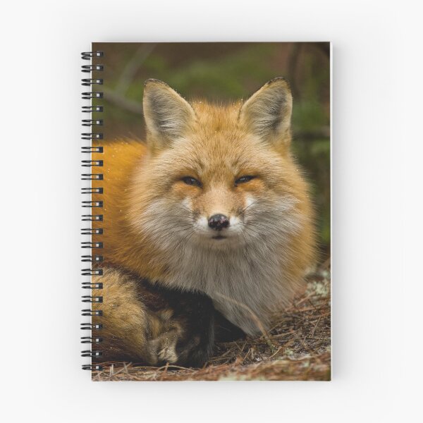 Item preview, Red Fox designed and sold by Michael Cummings.