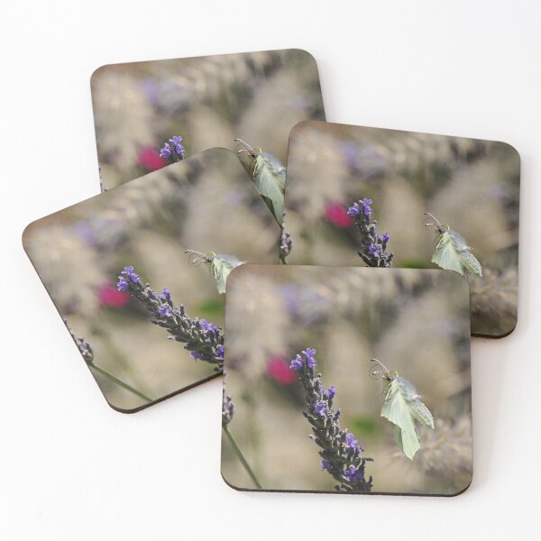 Item preview, Un Amour Love de Papillons - Butterfly j (h) Okaio Création & Olavia-Olao designed and sold by o.okaïo.