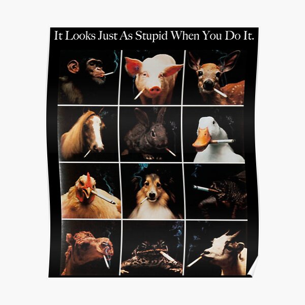 It Looks Just As Stupid When You Do It - Animals Smoking Tobacco Control Campaign - Anti-Smoking Poster