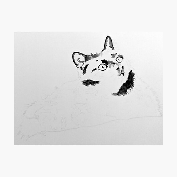 Item preview, Carlos the Cat (Buffering) designed and sold by lauratopeni.