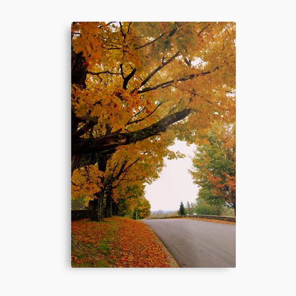 Fall In Love With New England Metal Print