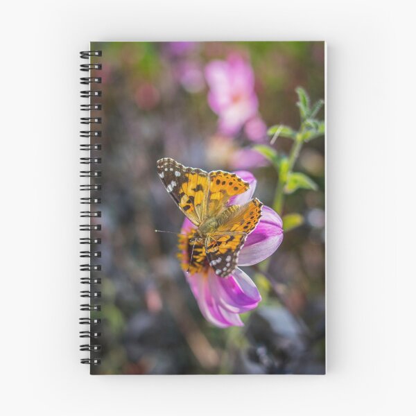 Item preview, Mariposa en la flor del alfiler | Arte Floflo designed and sold by Flofloart.