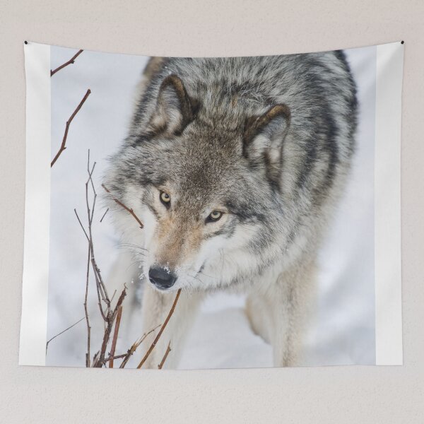 Item preview, Timber Wolf designed and sold by Michael Cummings.