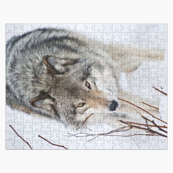 Timber Wolf Jigsaw Puzzle