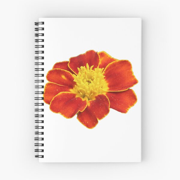 Item preview, Oranje! designed and sold by NKW1709.