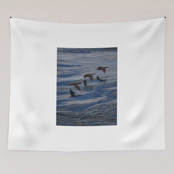 Item preview, Three shags flying home to Cantick Head Lighthouse on the beautiful Orkney island of Hoy in Scotland designed and sold by Alan Mackinnon.