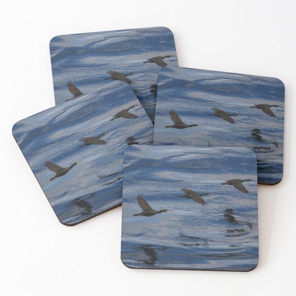 Item preview, Three shags flying home to Cantick Head Lighthouse on the beautiful Orkney island of Hoy in Scotland designed and sold by Alan Mackinnon.