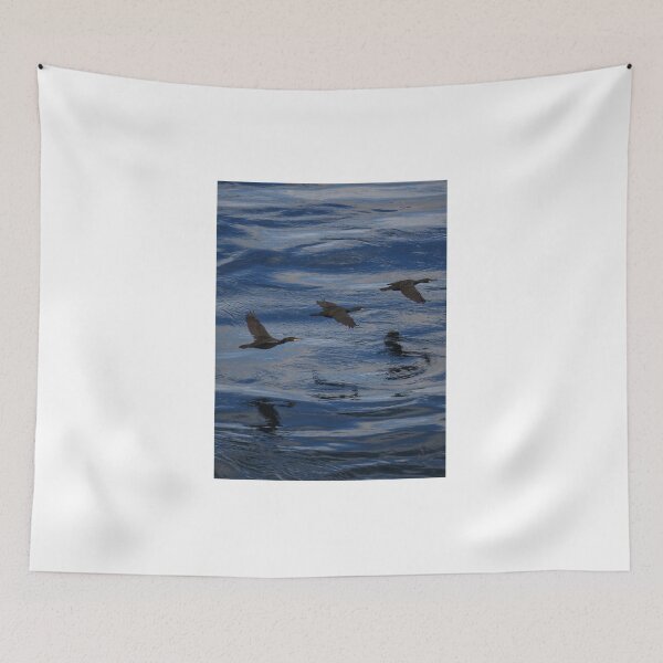Item preview, Three shags flying home to Cantick Head Lighthouse on the beautiful Orkney island of Hoy in Scotland designed and sold by Alan Mackinnon.