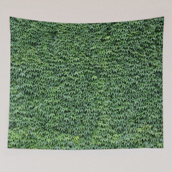 Item preview, Parthenocissus tricuspidata designed and sold by Mythos57.