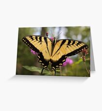 Swallowtail Greeting Card