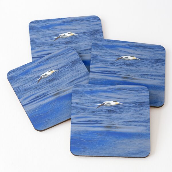 Item preview, A gannet flying passed Cantick Head Lighthouse on the beautiful Orkney island of Hoy in Scotland  designed and sold by Alan Mackinnon.
