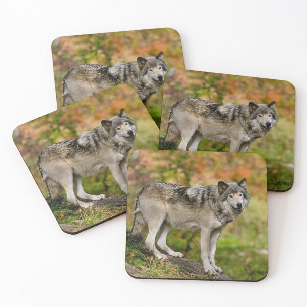 Item preview, Timber Wolf designed and sold by Michael Cummings.