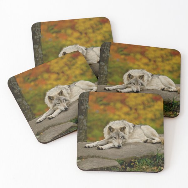 Item preview, Timber Wolf designed and sold by Michael Cummings.