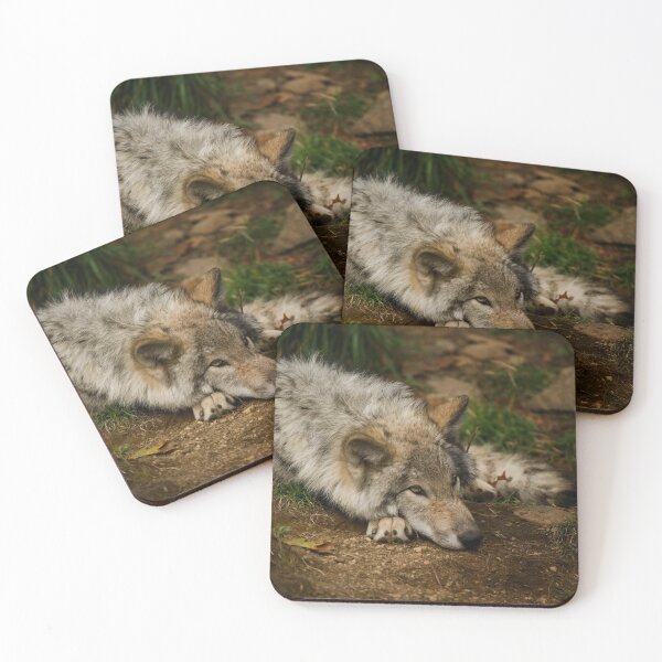 Item preview, Timber Wolf Pup designed and sold by Michael Cummings.
