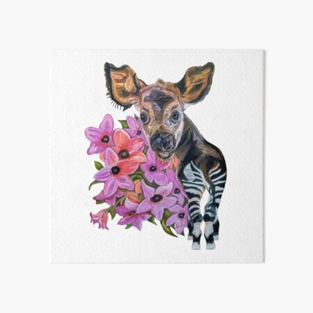 Cute Zebra Art Board Prints for Sale