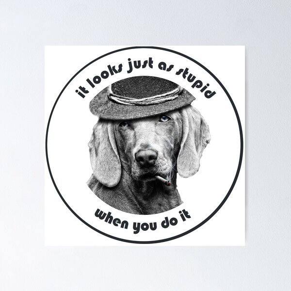 Artikelvorschau, "it looks just as stupid when you do it" entworfen und verkauft von DocteurTop.