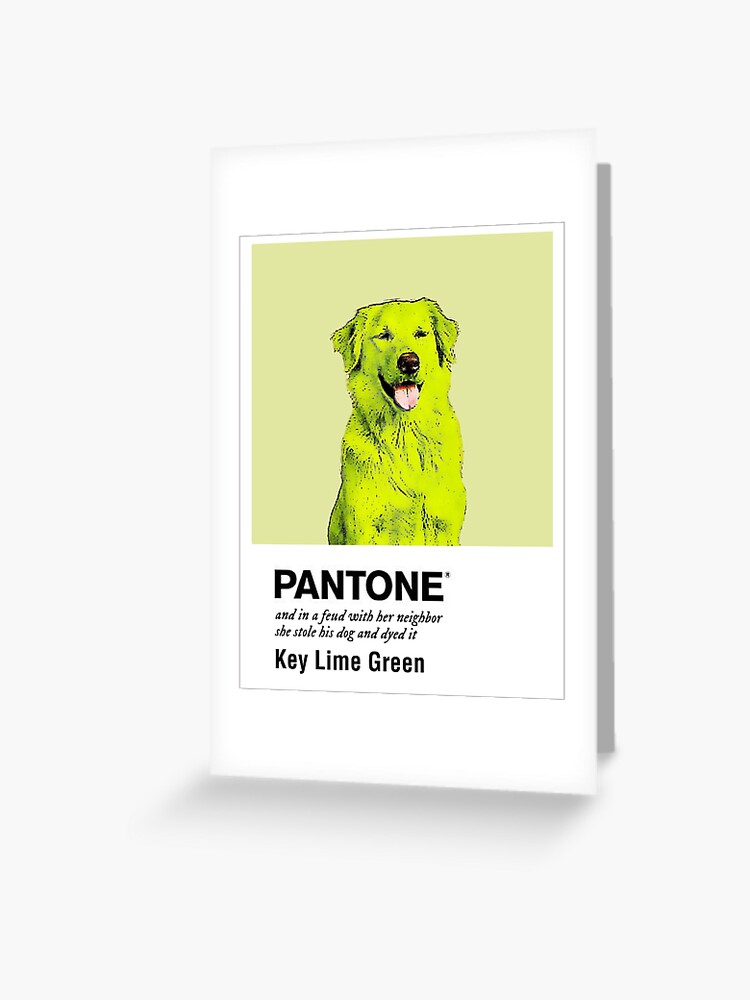 Lime Green Dog ubicaciondepersonas.cdmx.gob.mx