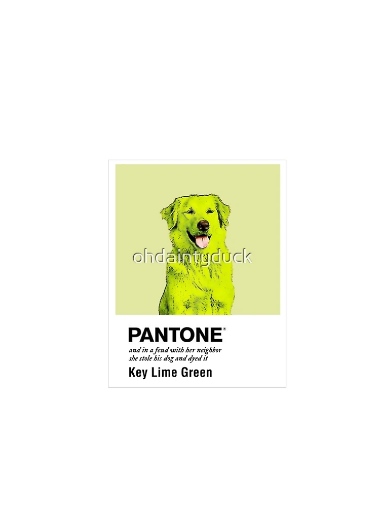 Key Lime Green Dog A-Line Dress for Sale by Kelly Louise