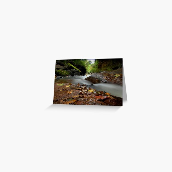 "Autumn leaves are falling" Greeting Card