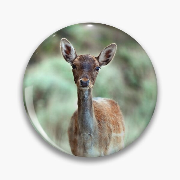 Item preview, Fallow Deer dama dama Vertical designed and sold by shelfpublisher.