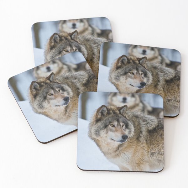 Item preview, Timber Wolves designed and sold by Michael Cummings.