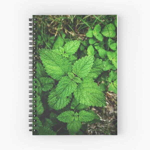 Item preview, lemon balm vertical background balm mint photography melissa officinalis designed and sold by fineartitalia.