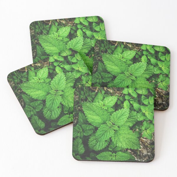 Item preview, lemon balm vertical background balm mint photography melissa officinalis designed and sold by fineartitalia.