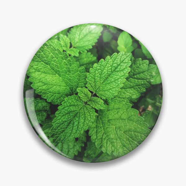 Item preview, lemon balm vertical background balm mint photography melissa officinalis designed and sold by fineartitalia.