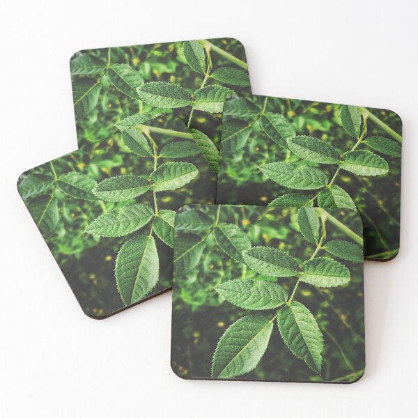 Item preview, green leaves background dog rose leaf or rosa canina vertical green photography . designed and sold by fineartitalia.