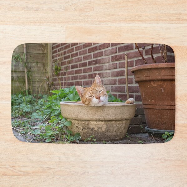 Item preview, Red cat lying in empty pot in garden designed and sold by Photopat.