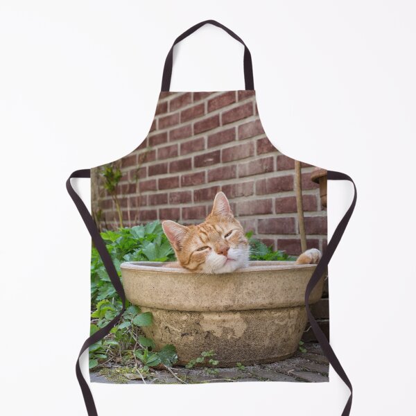 Item preview, Red cat lying in empty pot in garden designed and sold by Photopat.
