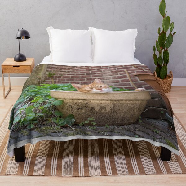 Item preview, Red cat lying in empty pot in garden designed and sold by Photopat.
