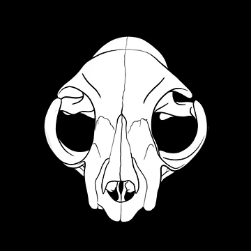 Artwork thumbnail, Felis by Ratchapel