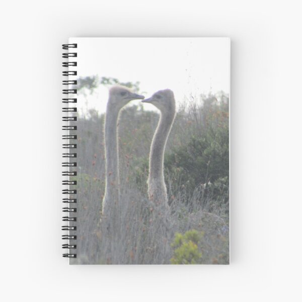 Loving Ostriches Spiral Notebook