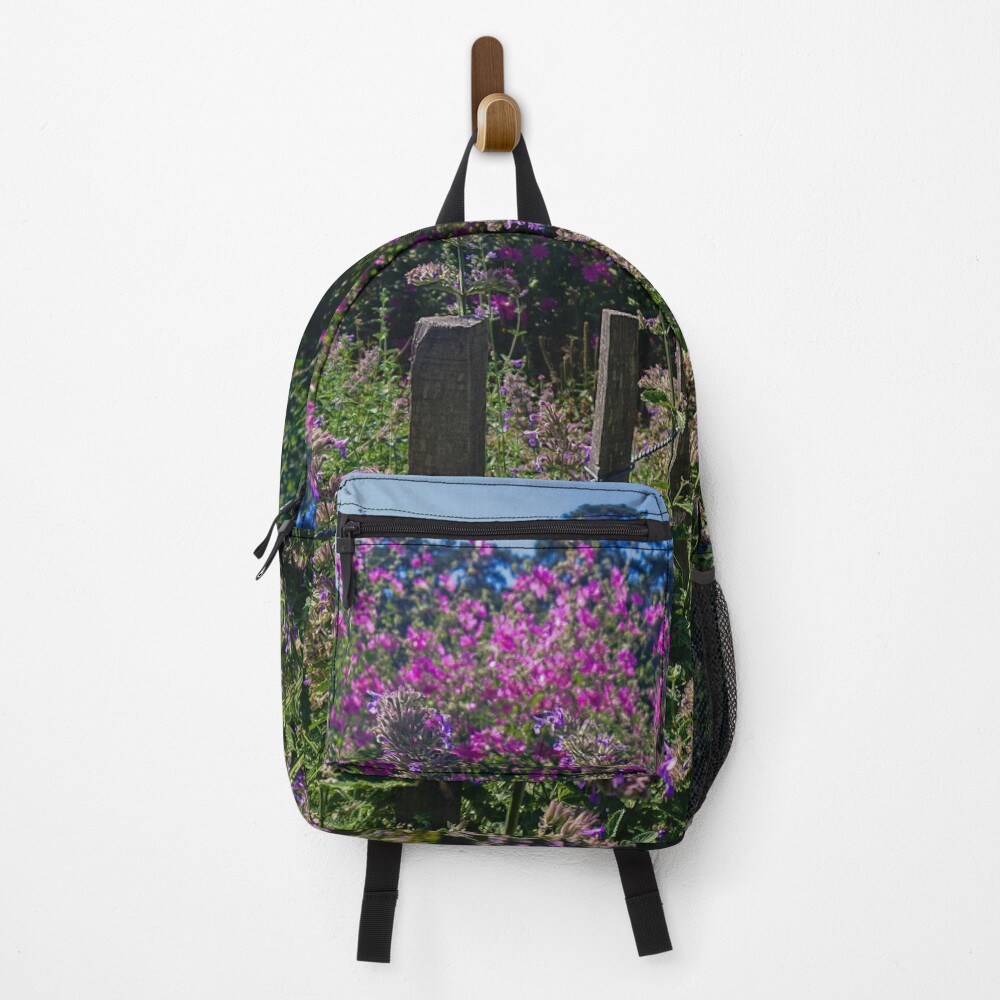 Item preview, Backpack designed and sold by LookFrog.