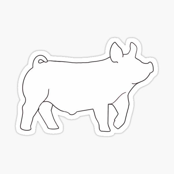 Show Pig, showpig, stocks how, stock show, ffa, pig, hog, 4-H Sticker